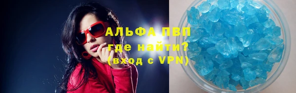 гашик Алексин