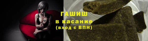 гашик Алексин