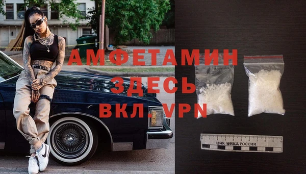 гашик Алексин