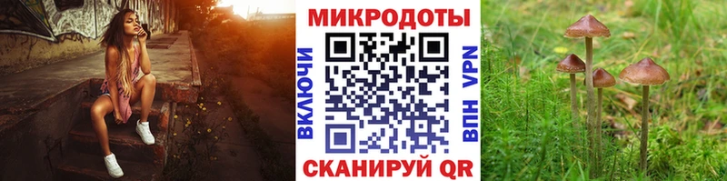 Галлюциногенные грибы MAGIC MUSHROOMS  купить закладку  Ефремов 