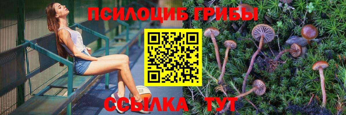 Галлюциногенные грибы Cubensis Ефремов