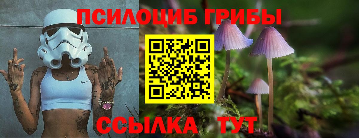 Ефремов  Галлюциногенные грибы прущие грибы  Вход с VPN 