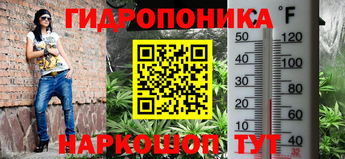 Конопля Bruce Banner Ефремов